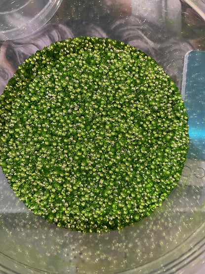 3D glitter collection